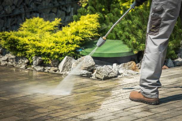 Best Animal Enclosure Cleaning  in Pegram, TN