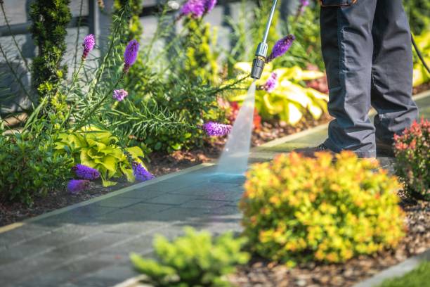 Best Driveway Pressure Washing  in Pegram, TN