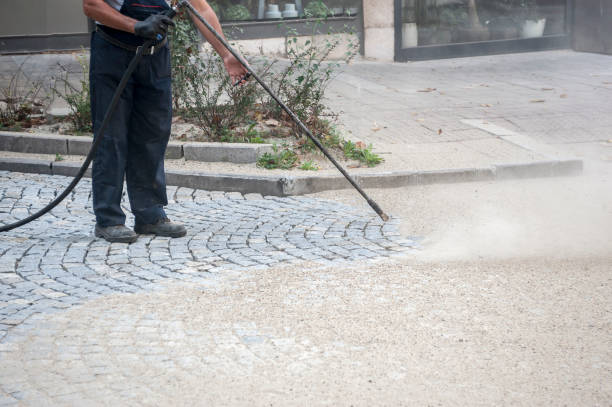 Best Dumpster Area Cleaning  in Pegram, TN