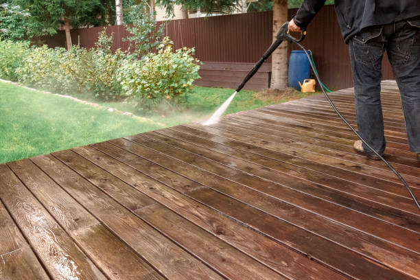 Best Sidewalk and Walkway Cleaning  in Pegram, TN